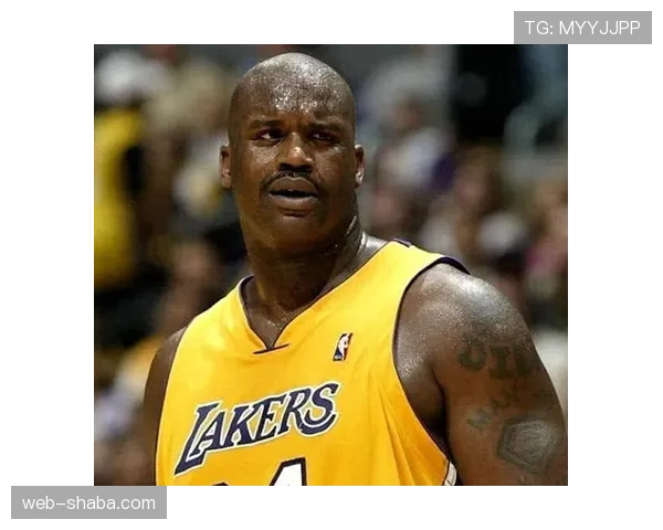 沙奎尔·奥尼尔内线强攻贡献率远超同期中锋对篮下控制影响显著