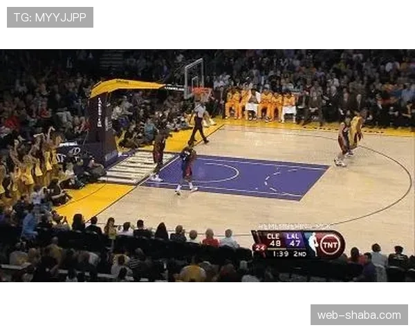 线内线外判罚标准有哪些细节容易被忽视？