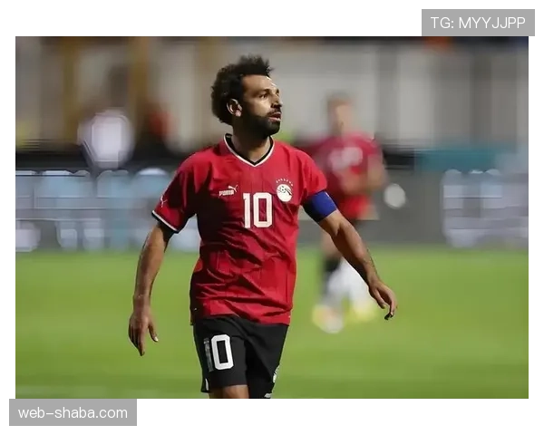 科特迪瓦冲击2026世界杯：新老交替能否助非洲大象重返决赛圈